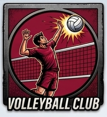 ﾊﾞﾚｰﾎﾞｰﾙ